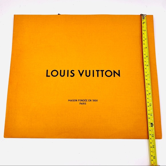 Louis Vuitton Bags - Picture 3 of 8